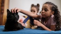 Kinderfilme mit Katzen: Abenteurer auf vier Pfoten