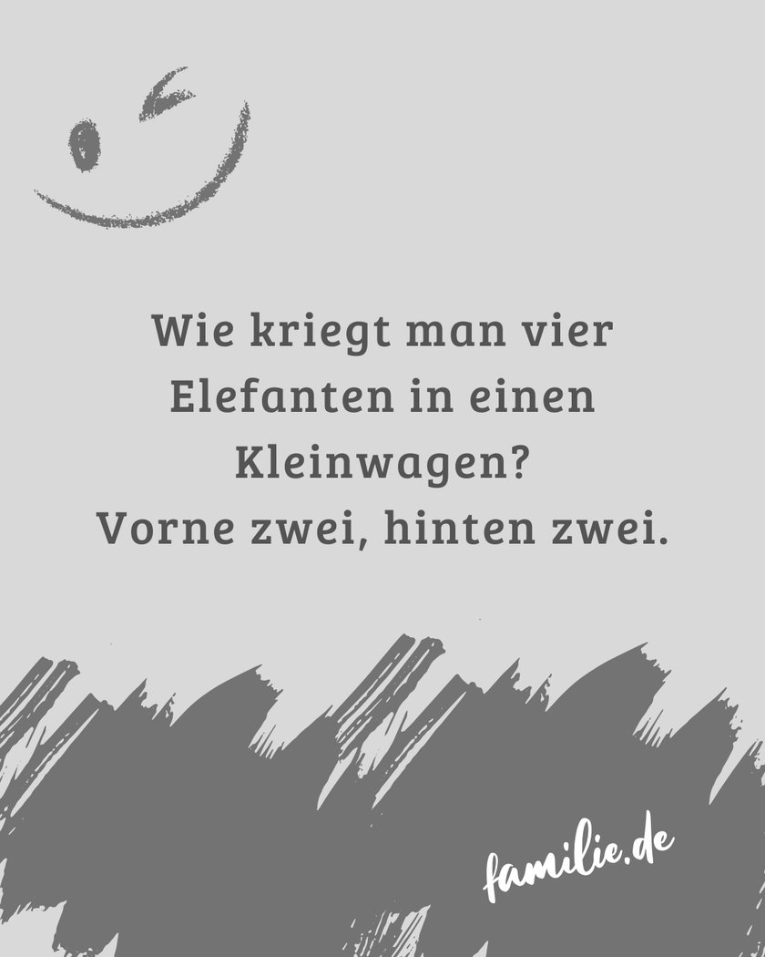 Anti-Witze: Elefanten-Transport