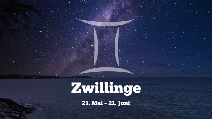 Zwillinge