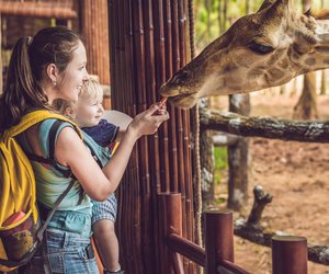 Zoos und Tierparks: In diesen Bundesländern könnt ihr ab sofort wieder Tiere besuchen