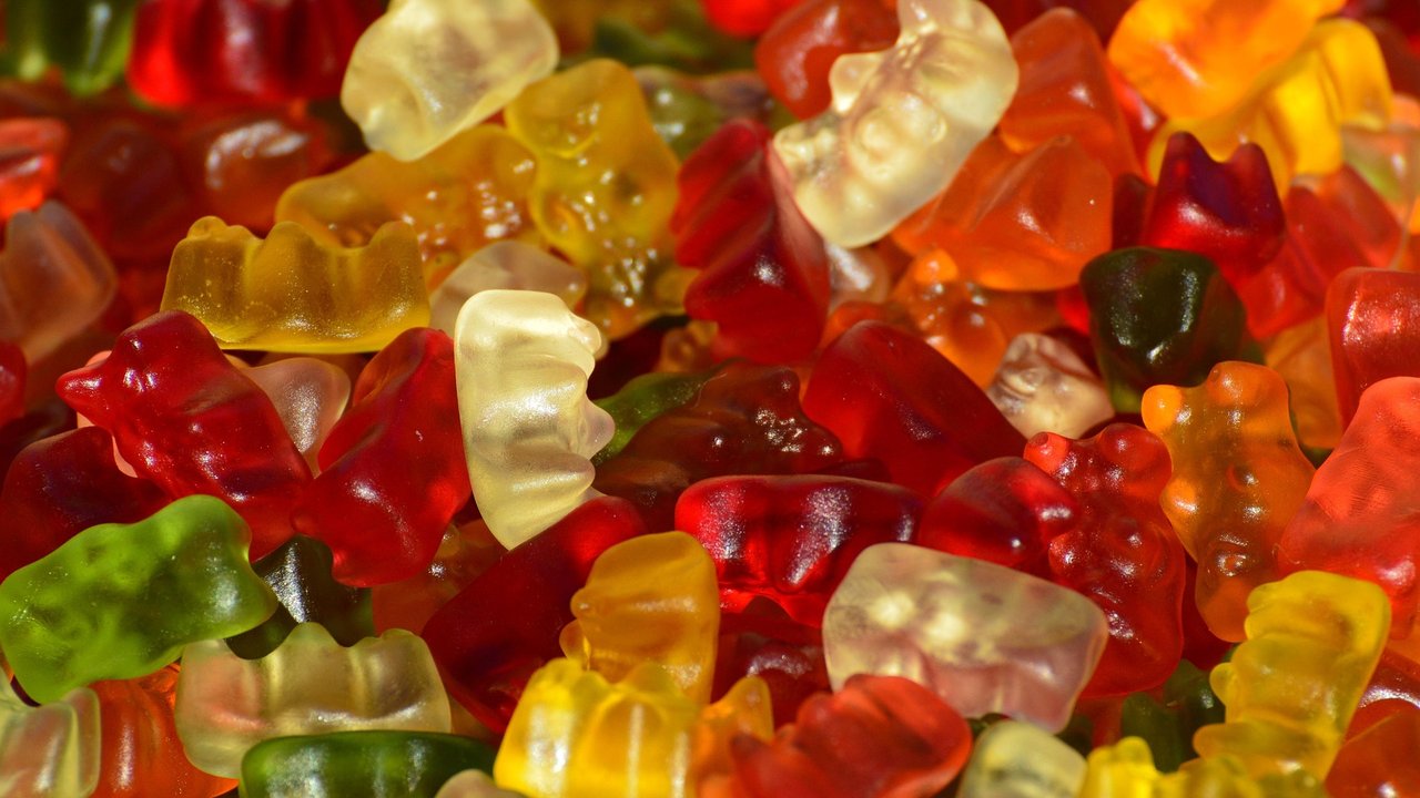 Für Menschen sind Gummibärchen ein leckerer Snack, für Hunde nicht.