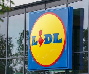 Geheimtipp für Hundebesitzer: Die Auto-Schondecke von Lidl