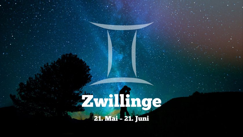 Zwillinge