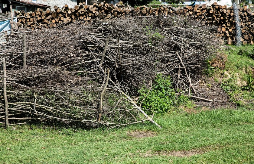 Heap of wood on grass