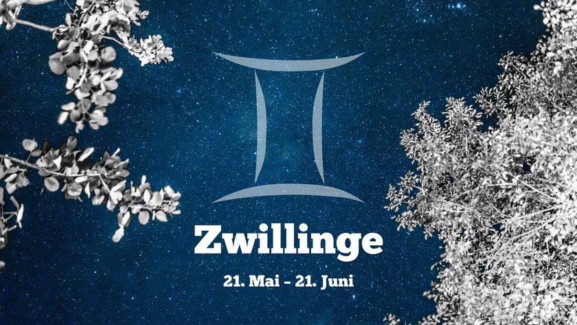 Zwillinge
