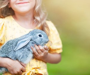 Für Langohren: Diese fünf Spielzeuge und Gadgets sind ein Muss für Kaninchen