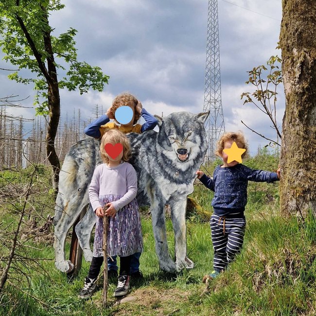 Harz mit Kindern: Auf dem Naturmythenweg lernt man etwas über Wölfe - das ist übrigens das freundliche Gesicht eines Wolfes.