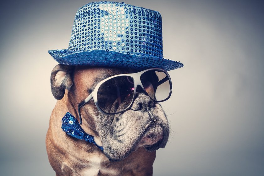 Schönes Wochenende Sprüche: Mops mit blauem Paillettenhut und Sonnenbrille