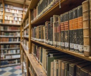 Upgrade für dein Bücherregal: Dieses 3D-Holz-Puzzle bekommst du bei Amazon