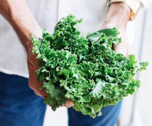 Gr&#x00FC;nkohl&#x20;roh&#x20;essen&#x3A;&#x20;Ist&#x20;er&#x20;bek&#x00F6;mmlich&#x3F;