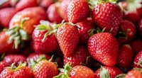 Ganz schön knifflig: Sind Erdbeeren Nüsse?