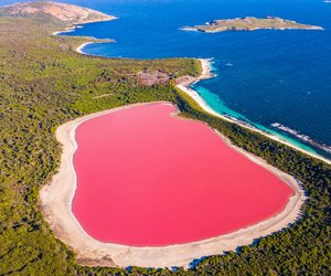 Spektakuläres Farbspiel: Das Geheimnis des pinken Sees in Australien