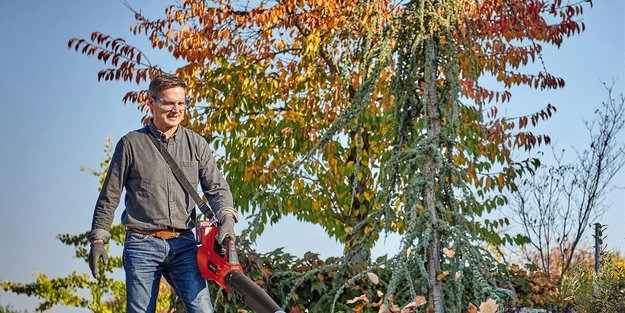 Straße und Garten blitzblank: Amazon hat Luxus-Laubbläser im Frühlingsangebot
