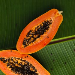 Papaya essen: So isst du die exotische Frucht