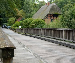 Reetdach Haltbarkeit: Wie langlebig ist ein Schilfrohrdach?