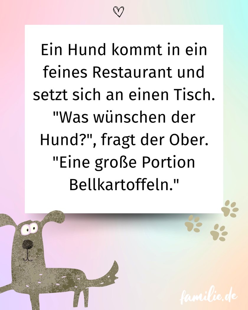 Hundewitze - Kleiner Gourmet