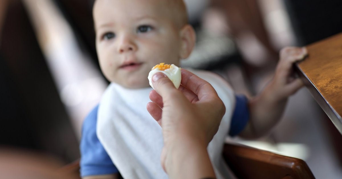 10 warum duerfen kinder nicht zu viele eier essen Ideen