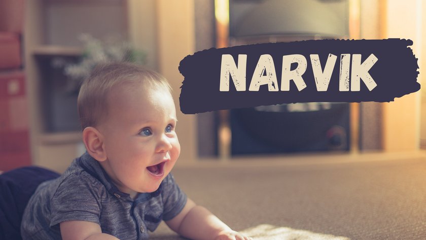 #10 Name mit Bedeutung "Stärke/KämpferIn": Narvik