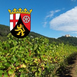 Wir lieben diese 19 pfälzischen Dialektwörter – du auch?