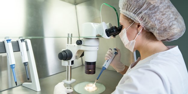 Überraschend: So wirkt sich das Corona-Virus auf Eizellen aus