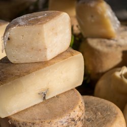Traditioneller Käse: Diese Sorte ist lebendig und in der EU verboten
