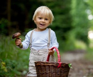 Herbstzeit ist Pilzzeit: Diese 12 essbaren Pilze sollte jeder kennen