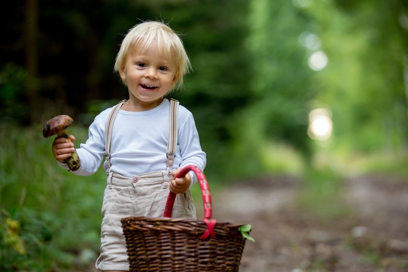 Viele Kinder lieben es, Wälder zu erkunden und Pilze zu sammeln.