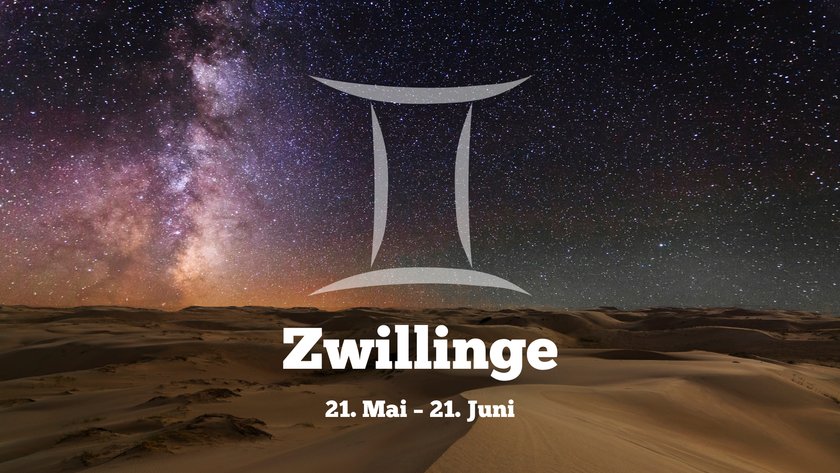 Zwillinge