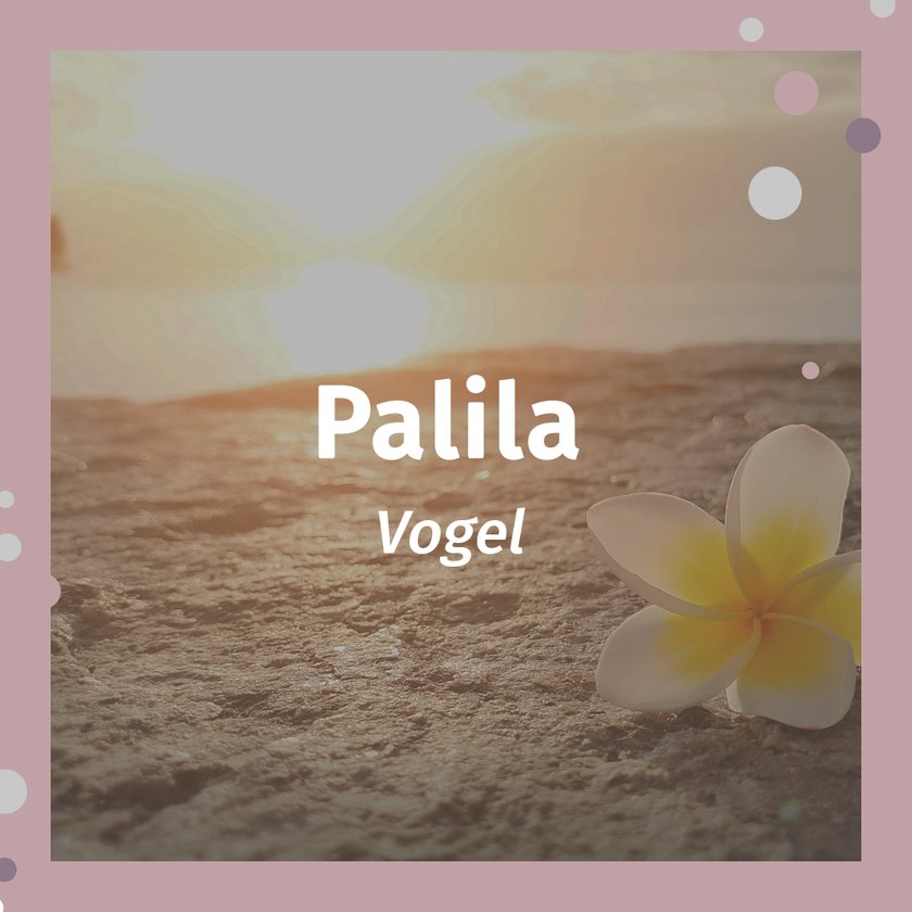 Hawaiianische Namen Palila