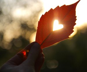 Bunte Blätter, Tee & Kuschelsocken: 20 Sprüche, die den Herbst in Worten einfangen