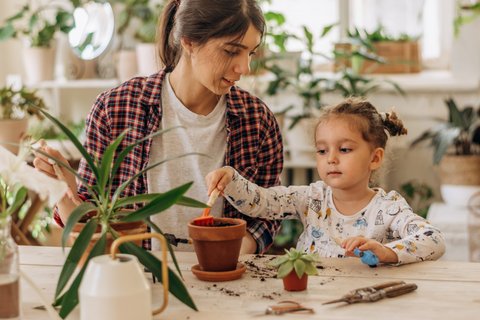Schtzt eure Kinder: Diese 23 Zimmerpflanzen sind giftig