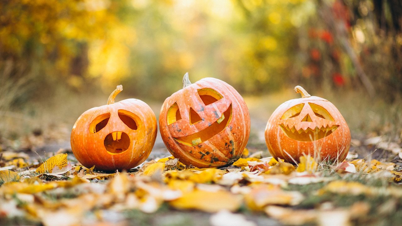 Kürbisse mit geschnitzten Gesichtern gehören zu Halloween einfach dazu.