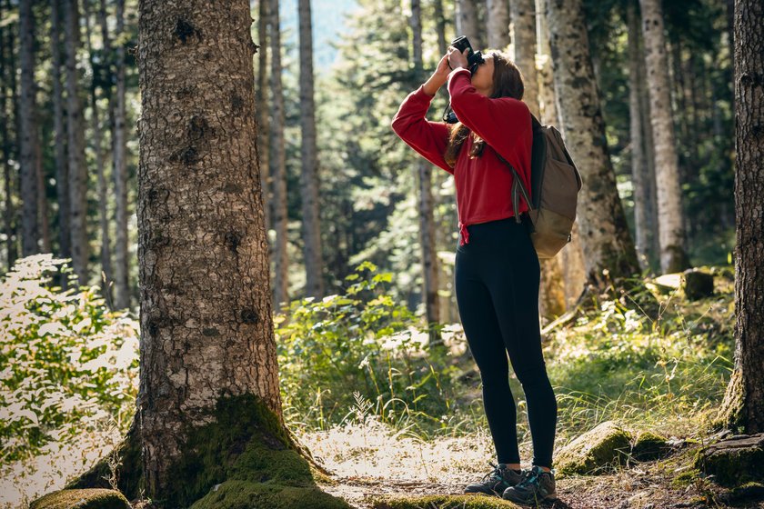 Fotografieren