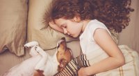 Haustiere für Kinder: Der große Ratgeber für die passende Wahl (mit Kuschelfaktor-Guide)