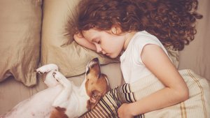 Haustiere für Kinder: Der große Ratgeber für die passende Wahl (mit Kuschelfaktor-Guide)