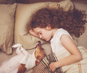 Haustiere für Kinder: Welches passt zu euren Bedürfnissen?