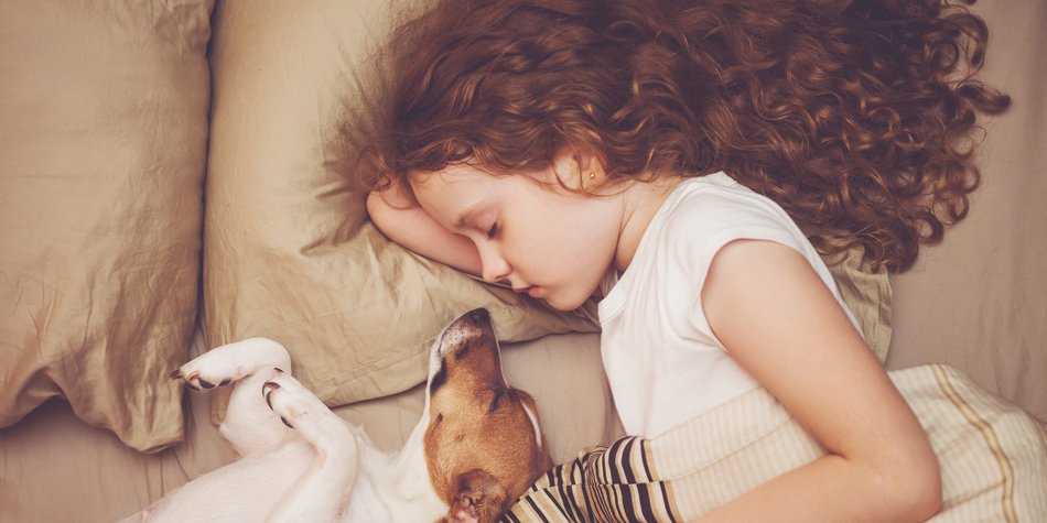 Haustiere für Kinder: Welches passt zu euren Bedürfnissen?