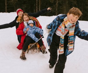 Winterfreude pur: Lidl bietet Holzschlitten zum Sensationspreis