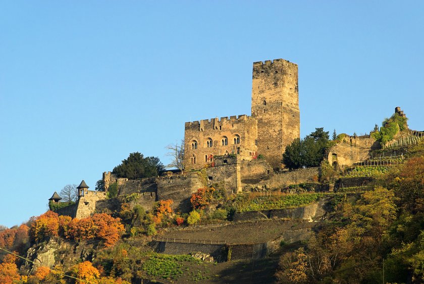 Familienurlaub Pfalz