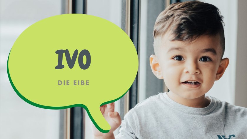 #1 Jungennamen mit I: Ivo