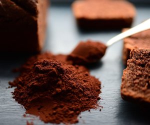 Dürfen Hunde Kakao essen? Achtung, Lebensgefahr! 