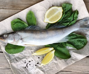 Seehecht & Schwangerschaft: Ist dieser Fisch empfehlenswert?