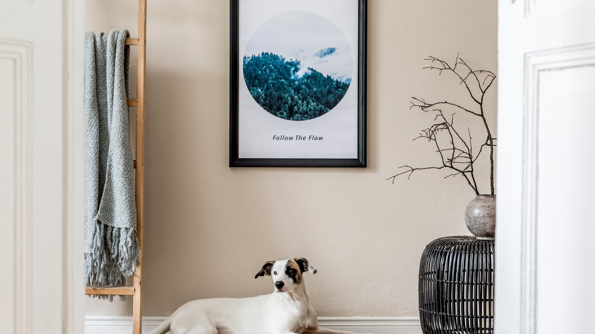 Diese extrem niedlichen IKEA DIYs erschaffen Wohlfühlzonen für deinen Hund