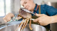 Krabben und Schwangerschaft: Darf ich sie essen?