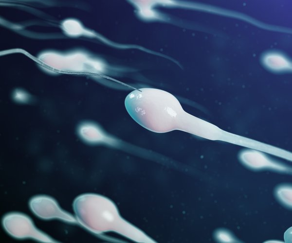 Wie Lange überleben Spermien Im Kondom Ohne Spermizide Wie lange überleben Spermien eigentlich?