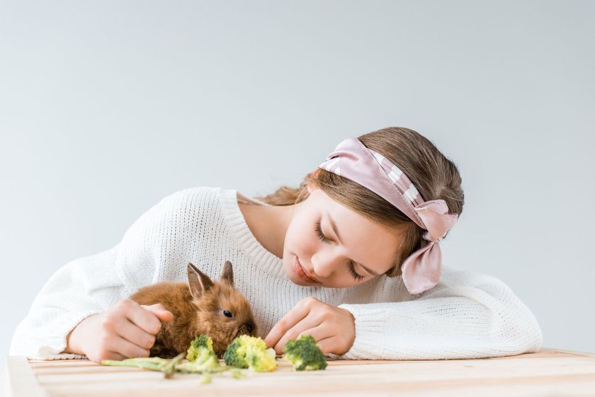 Brokkoli gehört zu den gesündesten Snacks für Kaninchen.