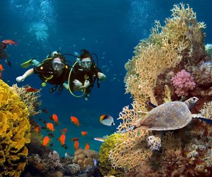 U-Boot in der Kinderserie: Unterwasserspaß für Groß und Klein