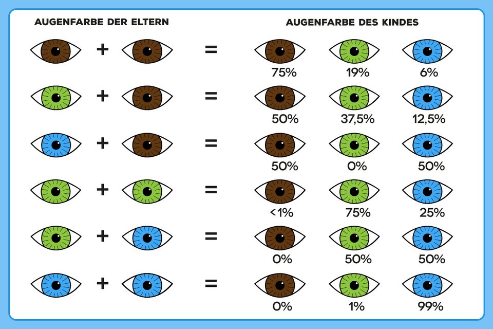 Augenfarben alle Augenfarben: Gene