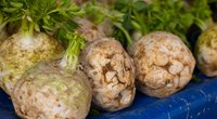 Die perfekte Suppenbeilage: So isst du Sellerie richtig und voller Genuss