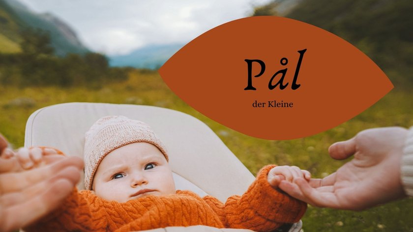 #3 Norwegische Jungennamen: Pål